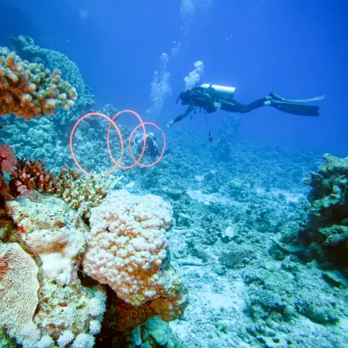 Exercice de flottabilité