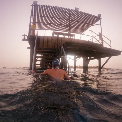 Les escaliers de mise à l'eau au bout du ponton