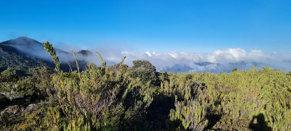 Cordillère de Talamanca