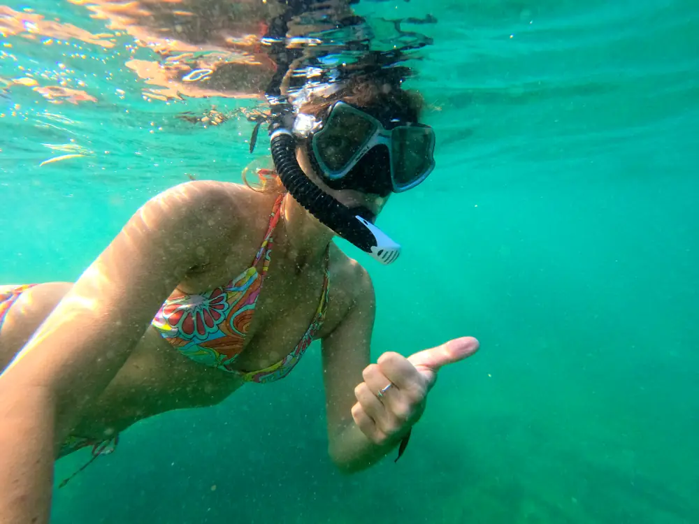 Escort fish par une Carangue dorée