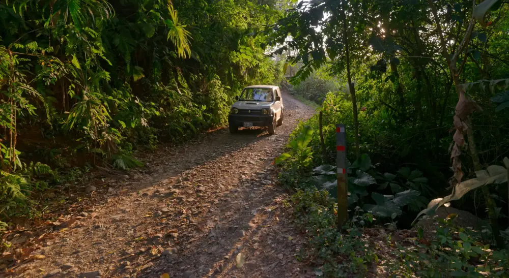 ... on repart dans la jungle.