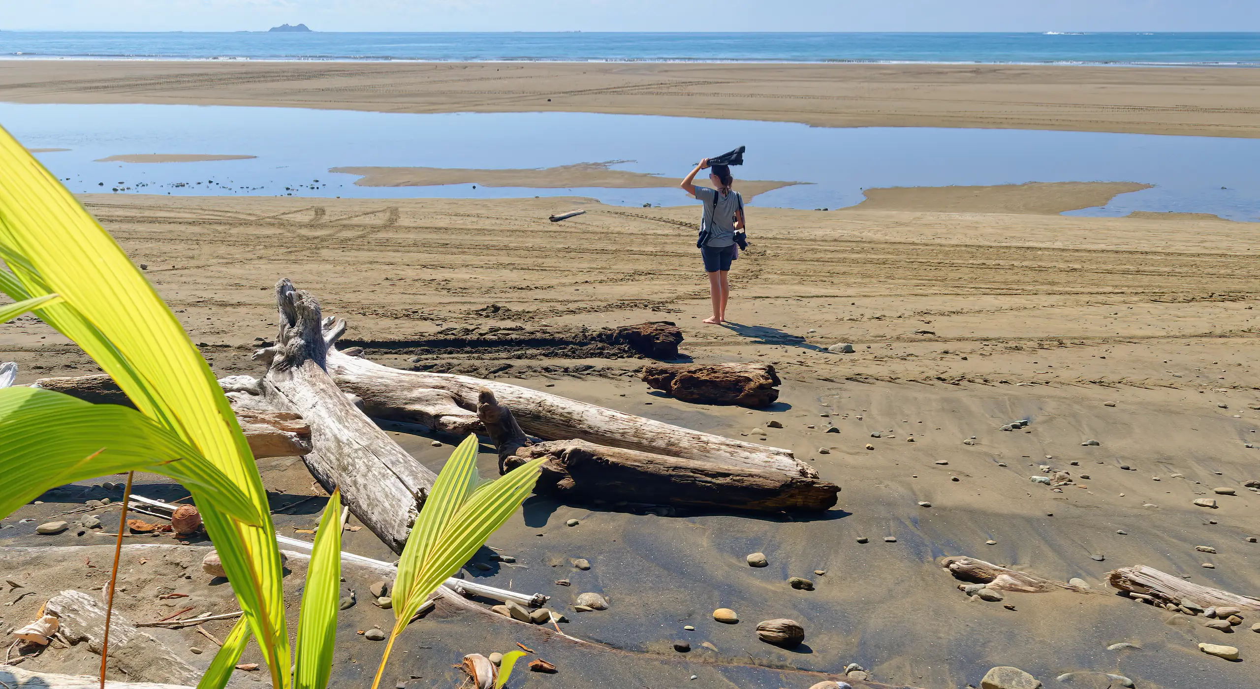 A la recherche des baleines entre Uvita et Sierpe