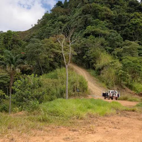 Montée dans la jungle