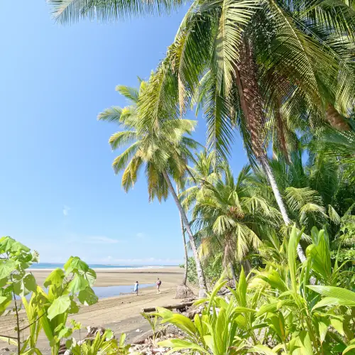 Plage de Marino Ballena