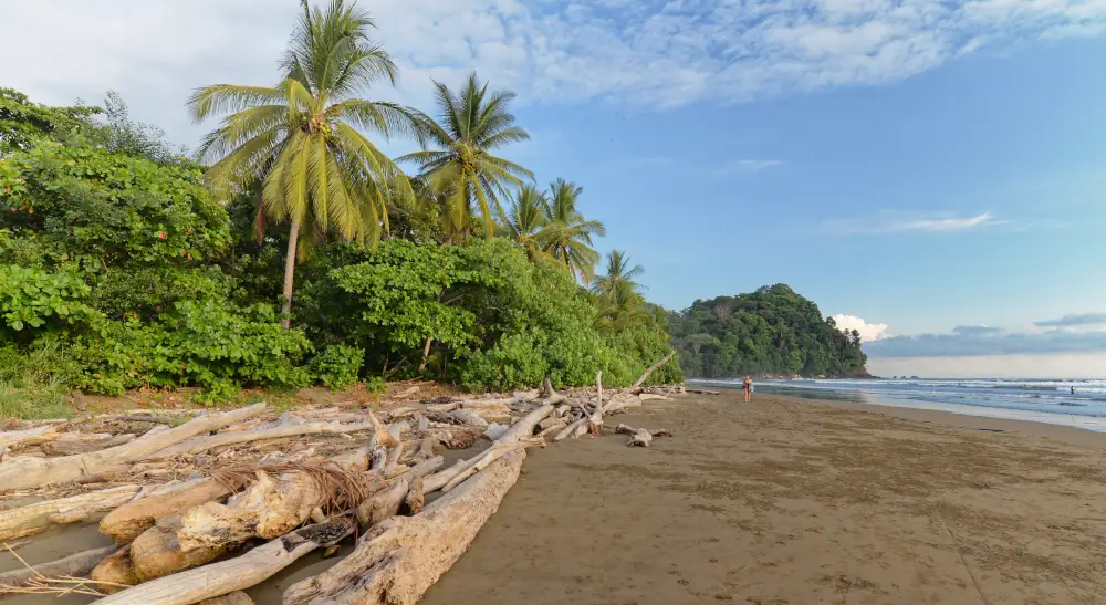Plage de Marino Ballena, avant le week-end