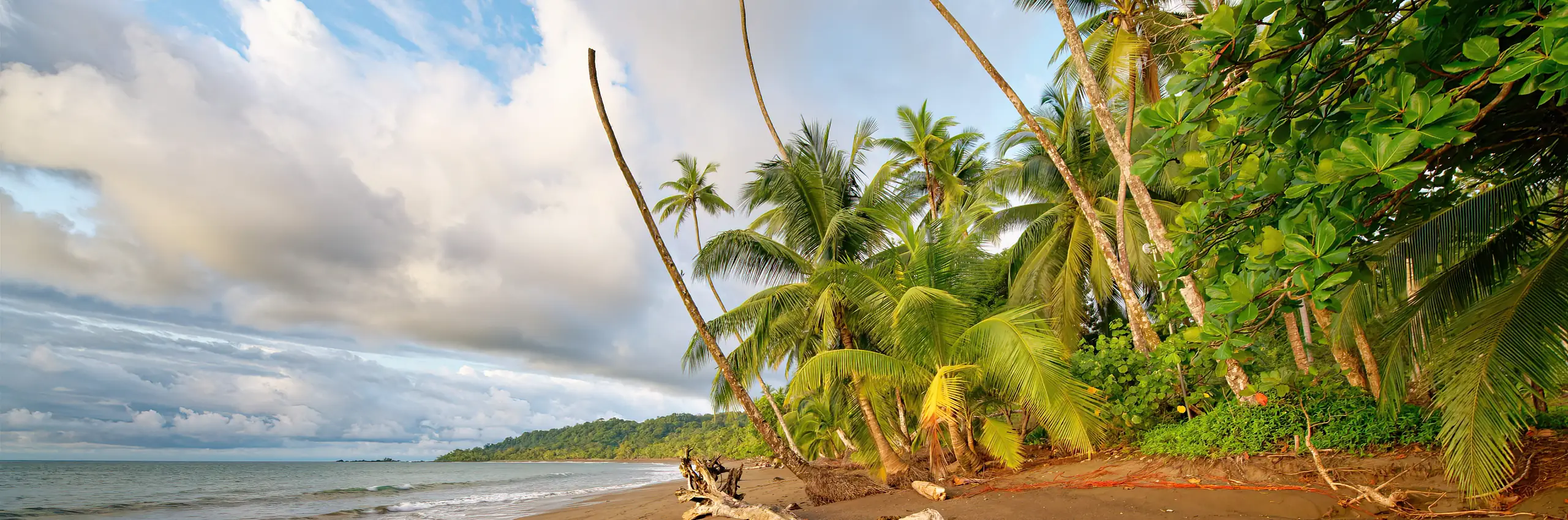Guide pratique pour voyager au Costa-Rica : budget et conseils