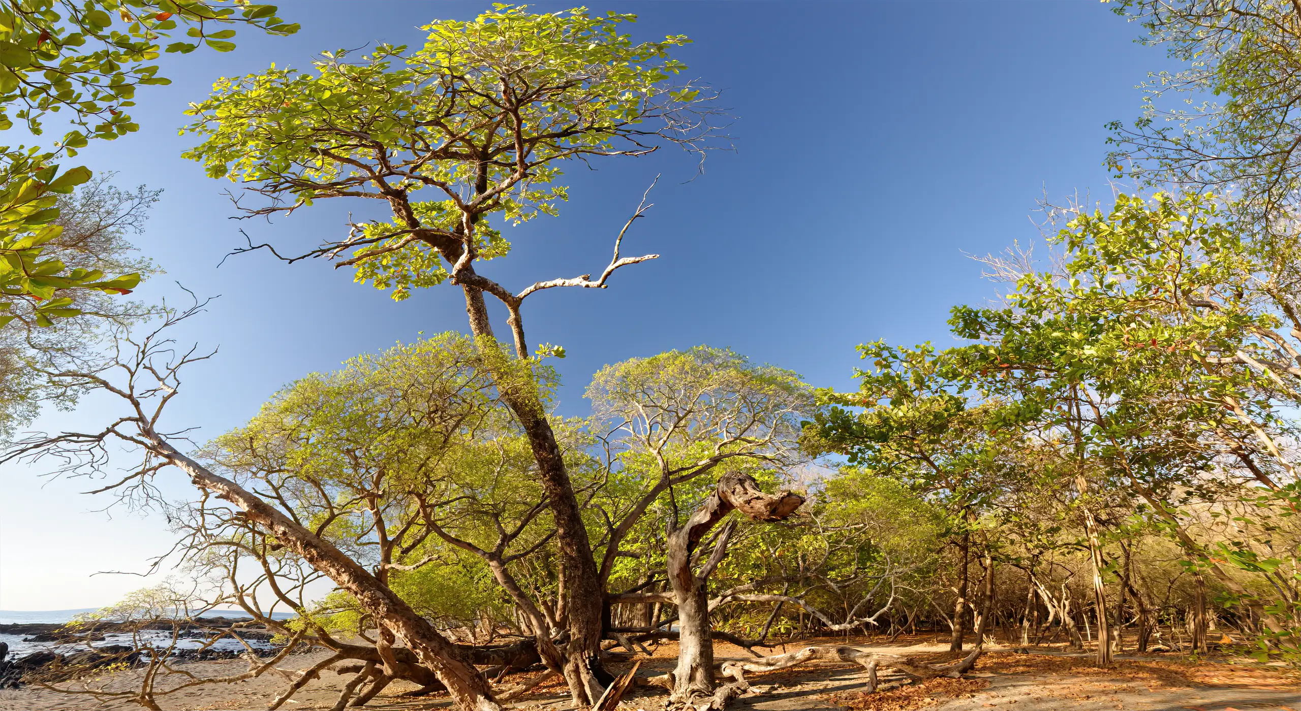 Les villages bohèmes de la Péninsule de Nicoya au Costa-Rica