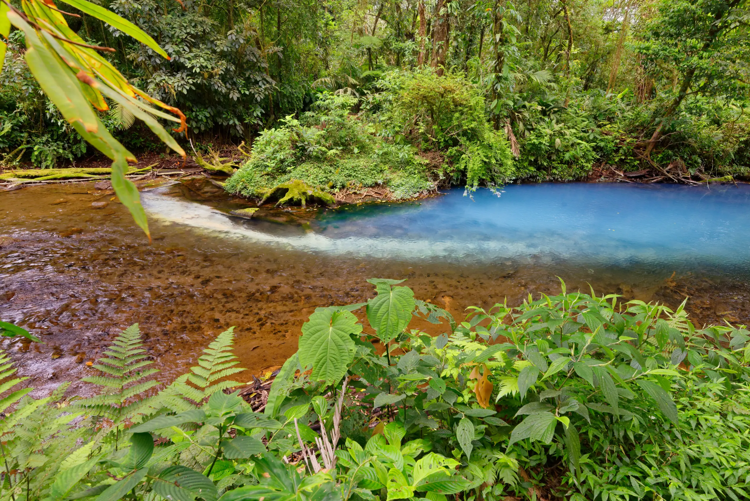 Río Celeste : découverte des eaux turquoises du parc Tenorio