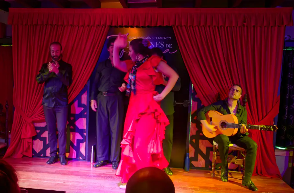 Flamenco dans les jardins de Zoraya