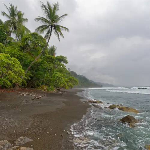 Plage de Madrigal dans le Corcovado