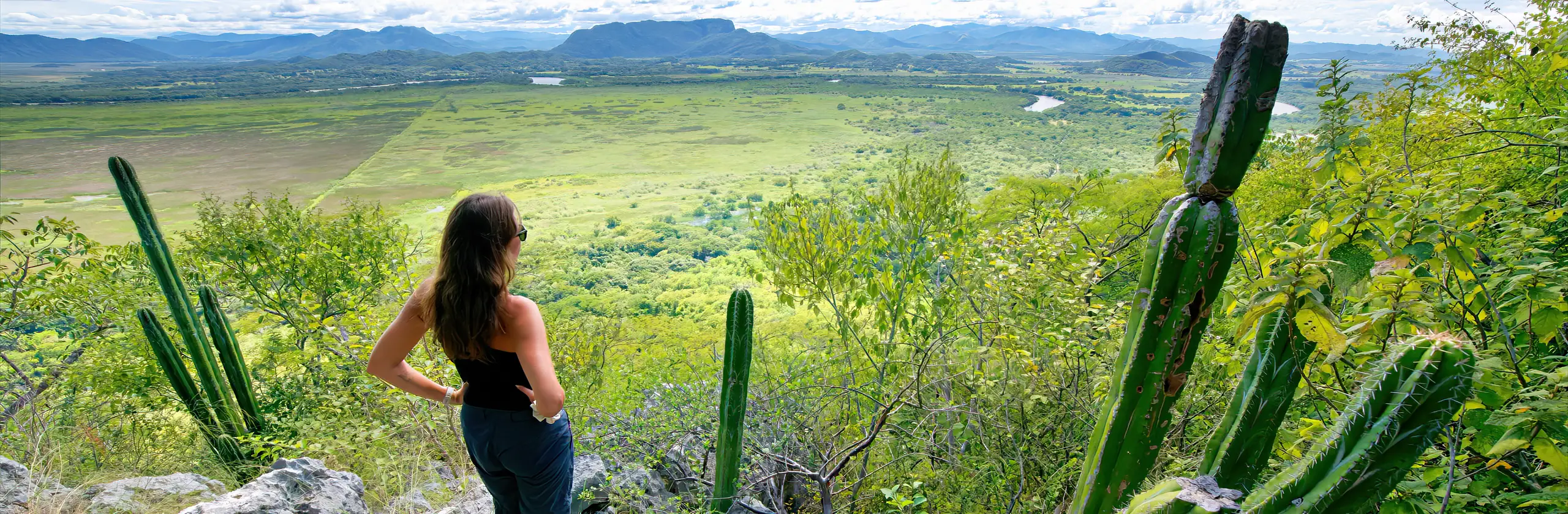 Parc National Palo Verde : marécages, oiseaux et moustiques au Costa-Rica