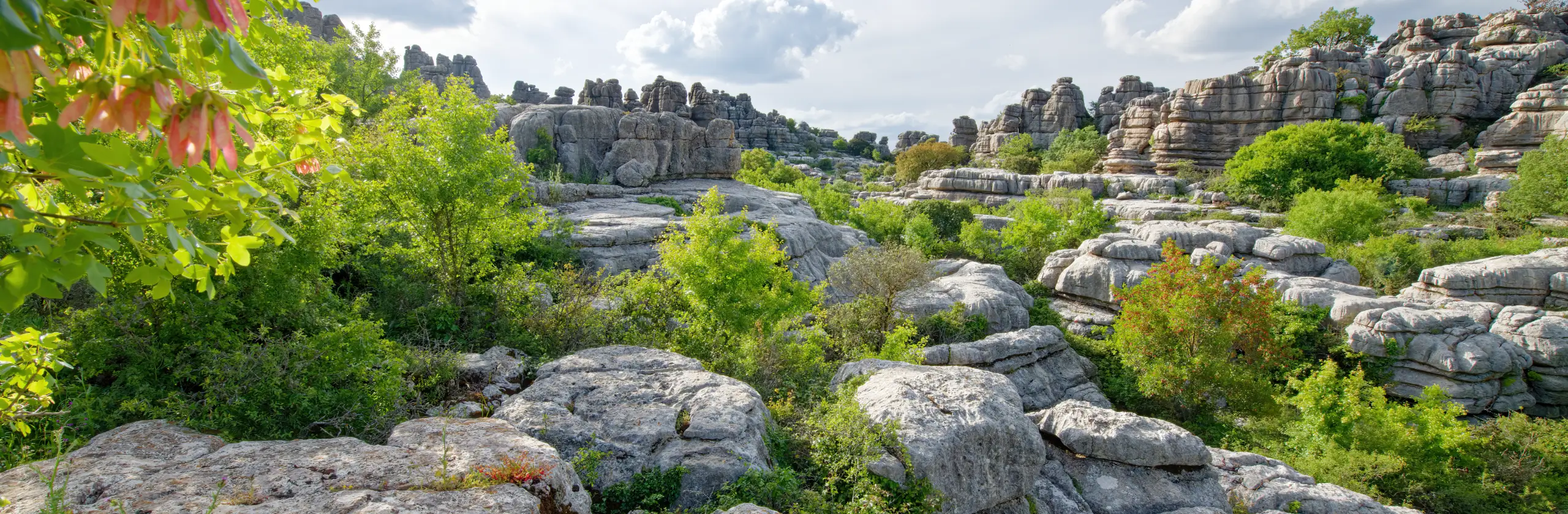 Parc naturel El Torcal : randonnée dans un paysage karstique unique en Andalousie