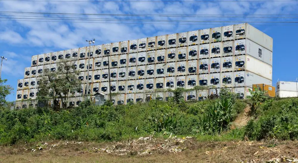 Containers de bananes ou d'ananas en attente de partir pour l'Europe