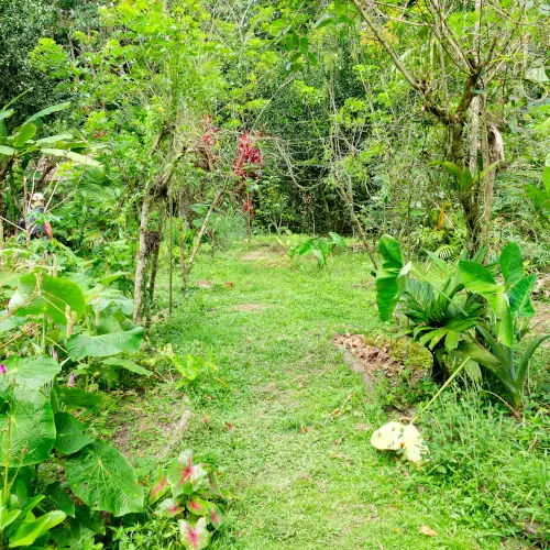 Jardin de Punta Mpna