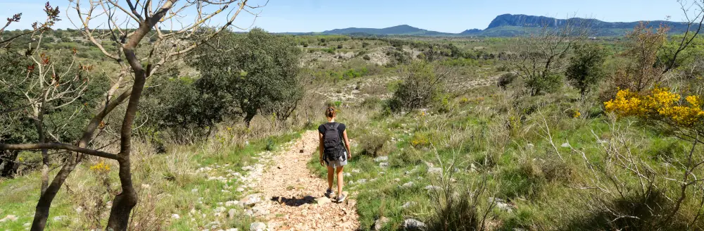 Vue panoramique sur les Causses