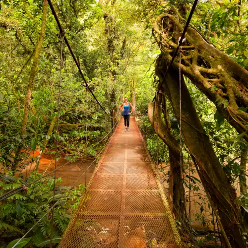 Pont sur le Rio Celeste