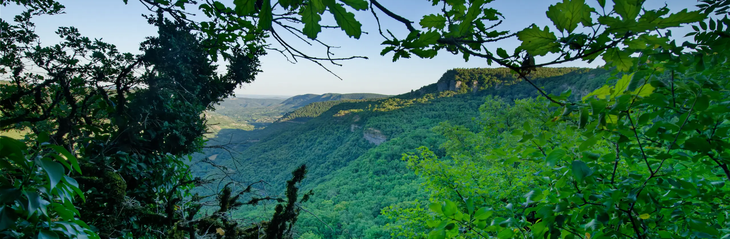 Le cirque de Labeil : randonnée entre dolomie, forêts profondes et failles spectaculaires