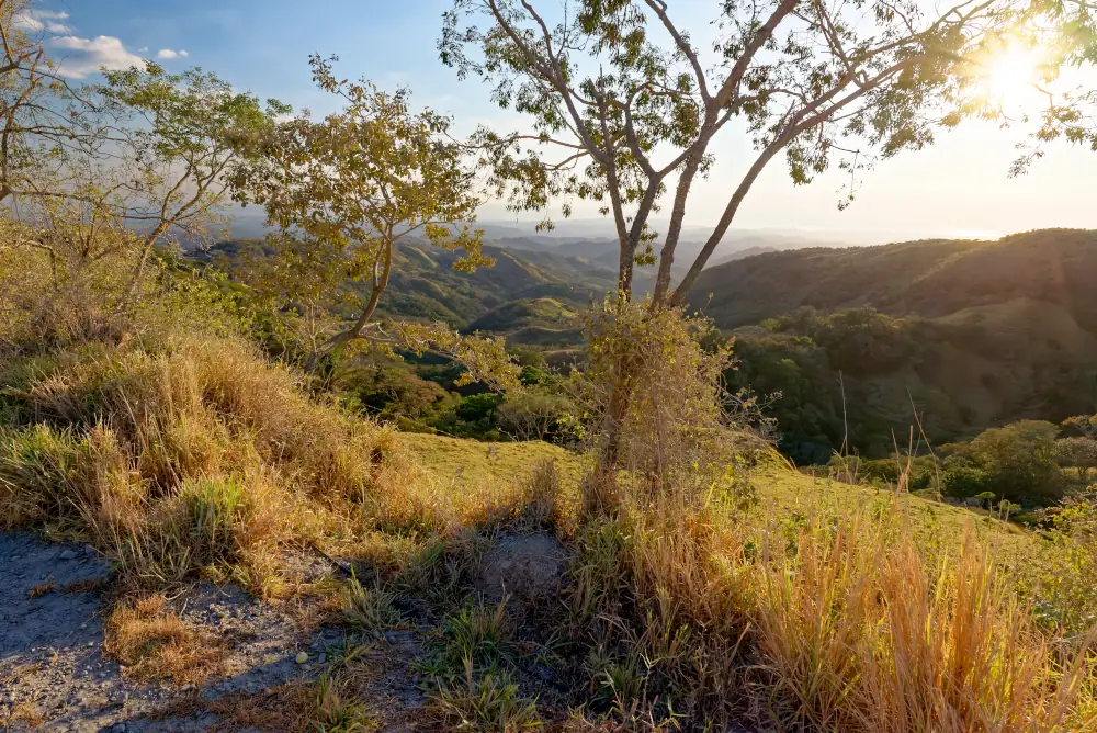 Les différents paysages s'enchainent sur la route pour Santa Elena