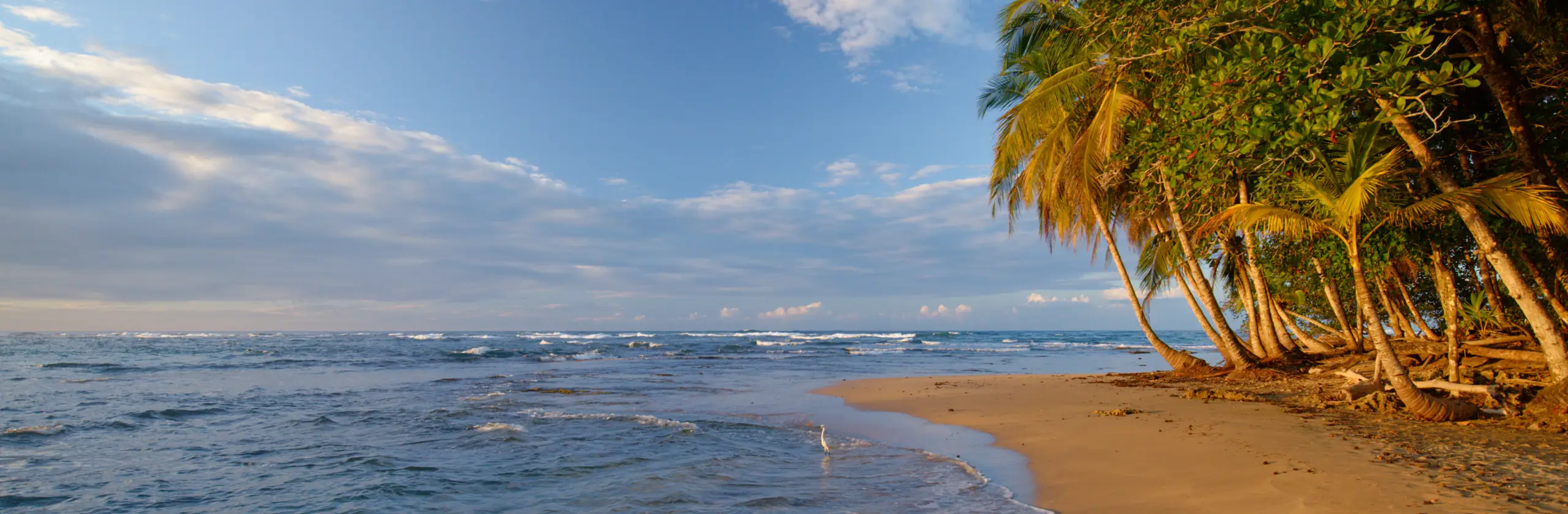 La côte caraïbe du Costa Rica : plages de rêve, reggae et cocotiers