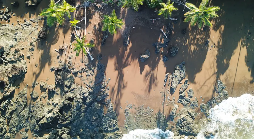 Plage Rincon de San Jocesito