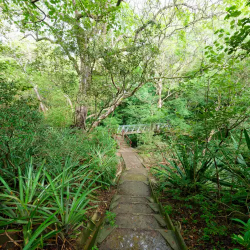 Sentier et petit pont aménagé