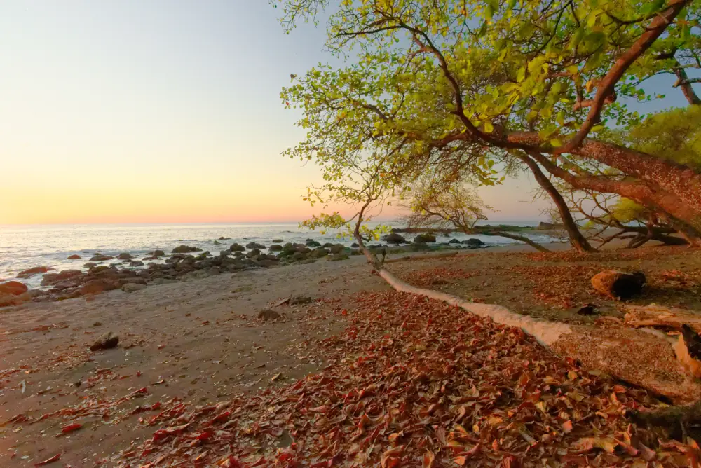 Plage de Montezuma au coucher de soleil