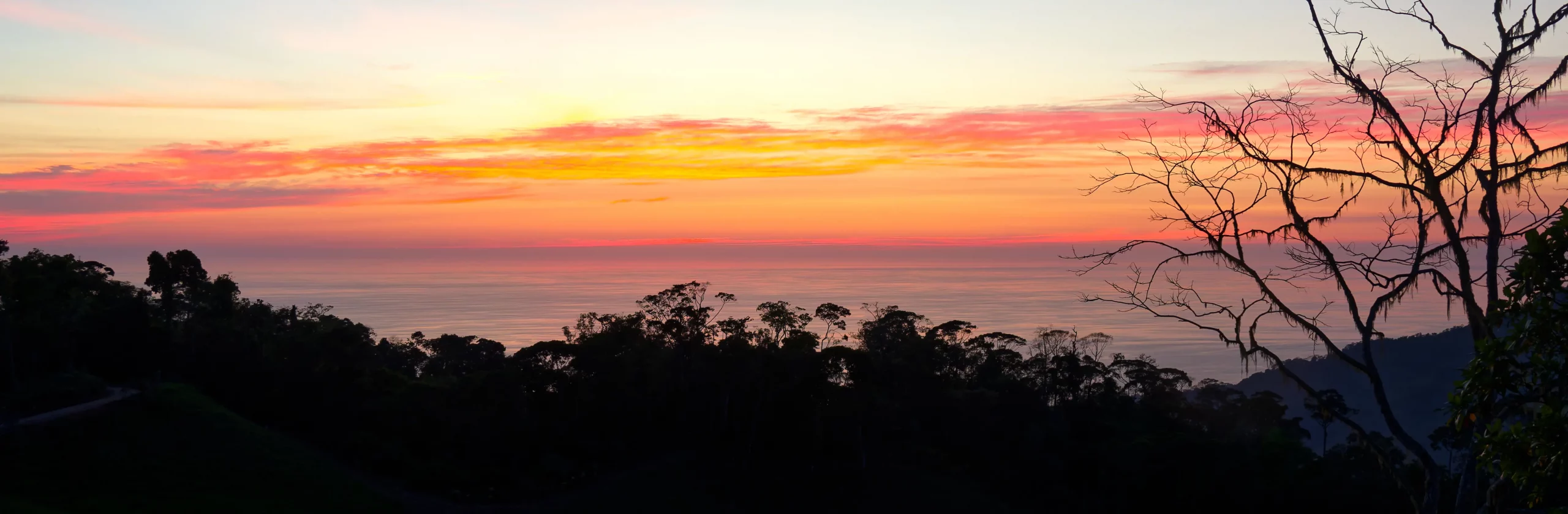 La Côte Pacifique du Costa Rica : road-trip de Puntarenas à Sierpe