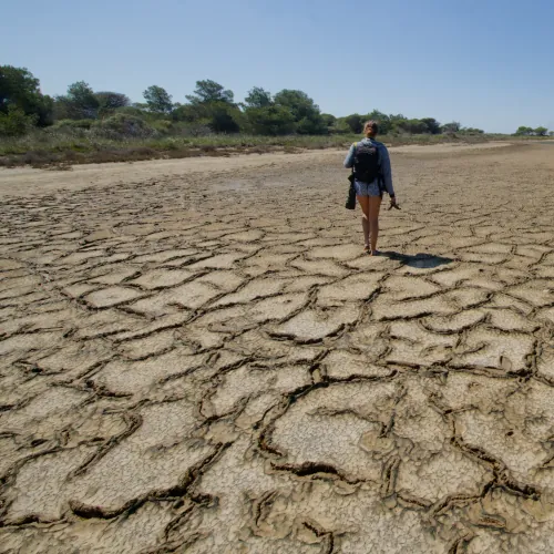 Sol séché par le vent et le sel