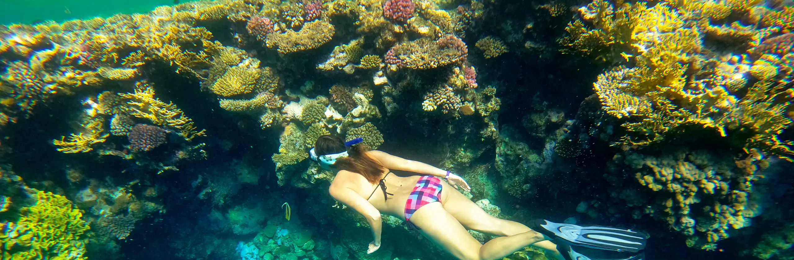 Marsa Alam : Arrivée sportive au Gemma Resort et snorkeling