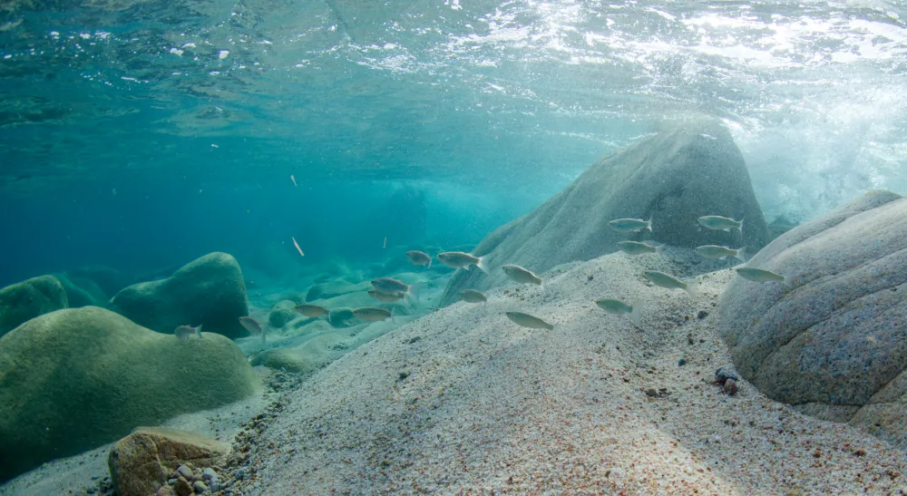 Fond au départ de la plage