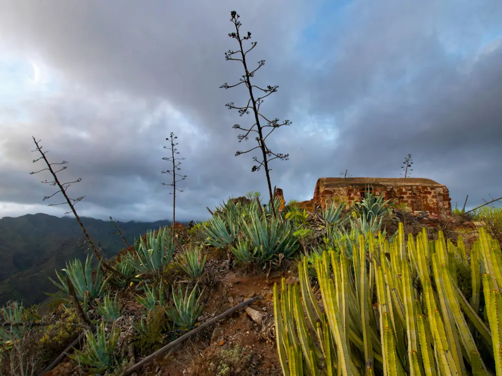Chapelle au sommet du col