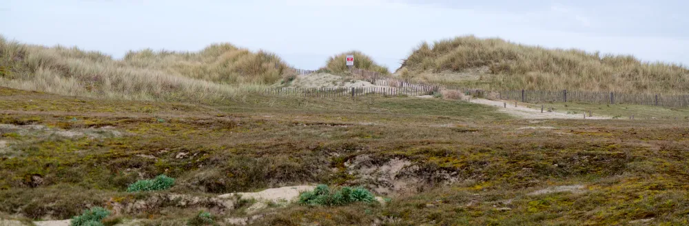 Dunes de la Pointe de la Torche