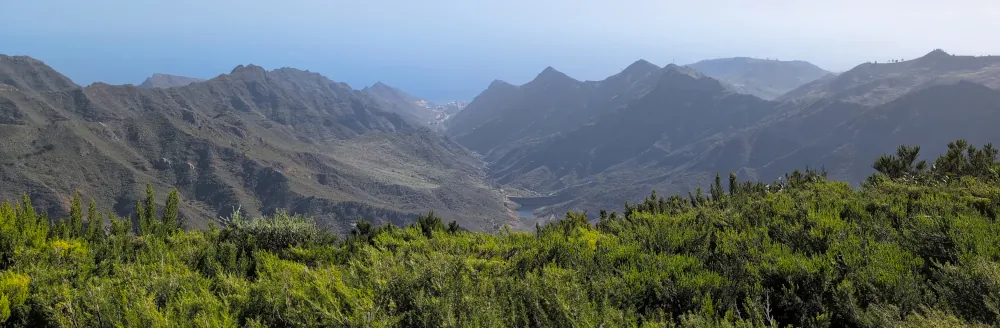 Randonnée sur la Montagne noir et la volcan Chinyero à Tenerife