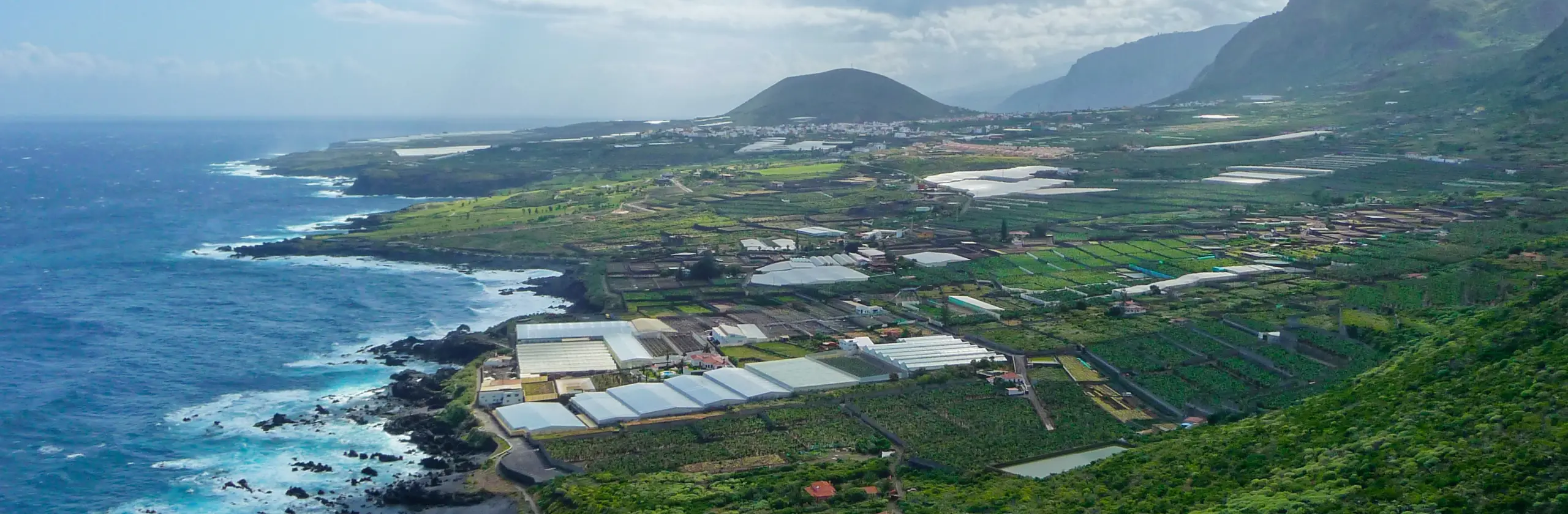 Tenerife Nord : de la forêt d’Anaga, en passant par Puerto de la Cruz jusqu’à Masca