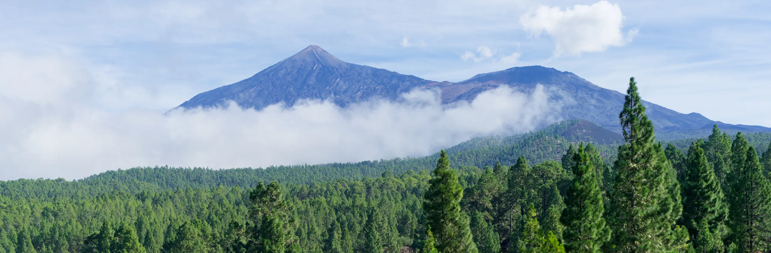 Volcans de Tenerife : randonnées du Teide au Chinyero, en passant par la Montagne Blanche