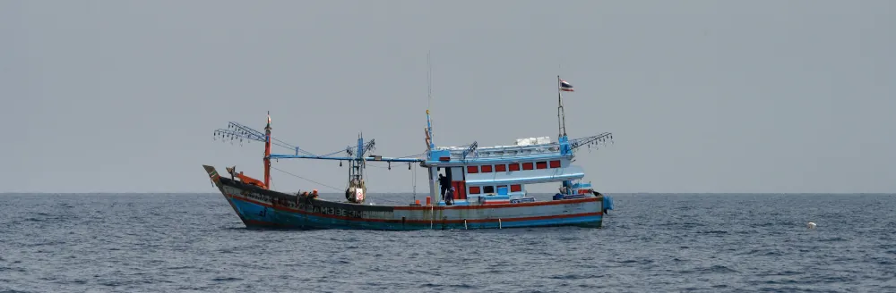 Bateau de pêche aux calmars