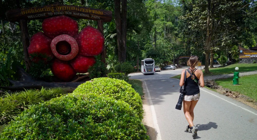 Entrée du parc de Khao Sok