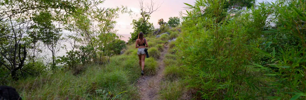 Le sentier ressort peu à peu de la jungle.