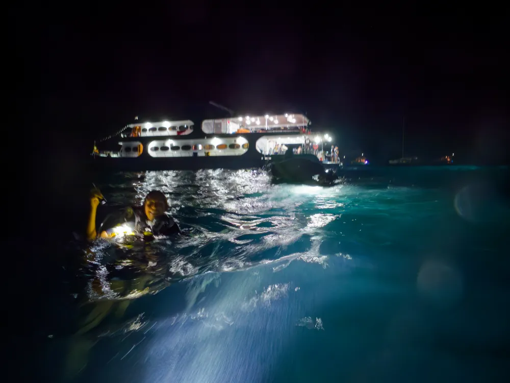 Plongée nocturne à Donald Duck Bay