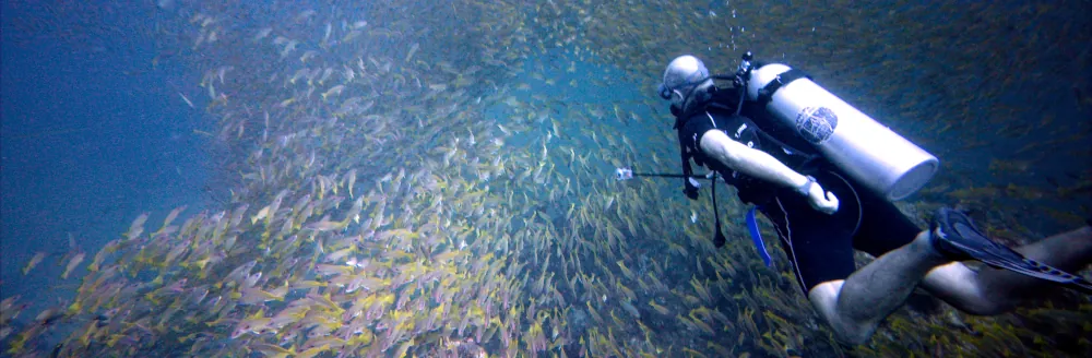 Hubert parmi les Vivaneaux
