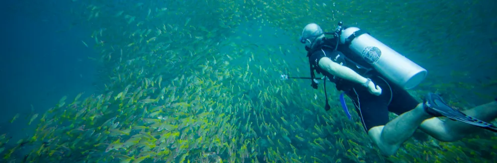 Hubert parmi les Vivaneaux