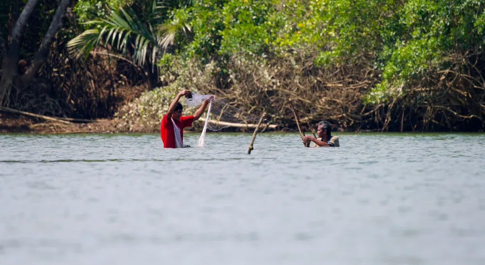 Pêcheurs dans la mangrove de Ranong