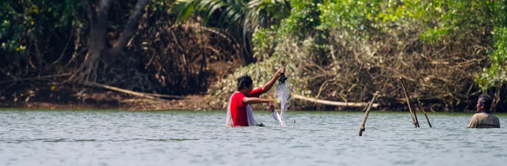 Pêcheurs dans la mangrove de Ranong
